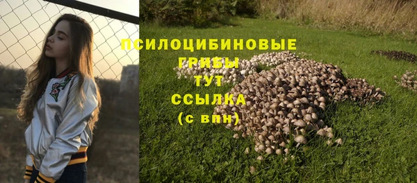 бутират Армянск