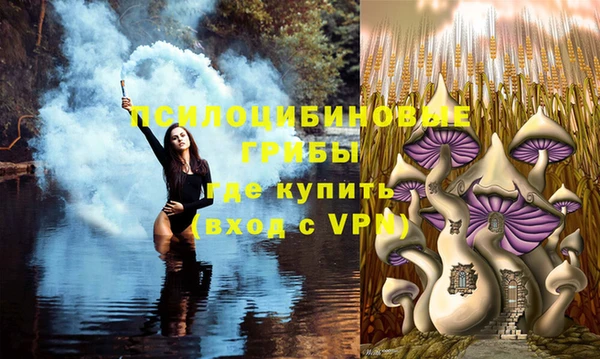 первитин Балахна